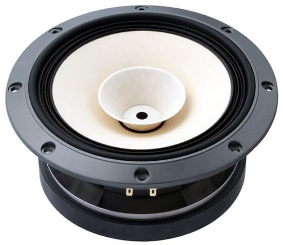 Fostex FE203En-S